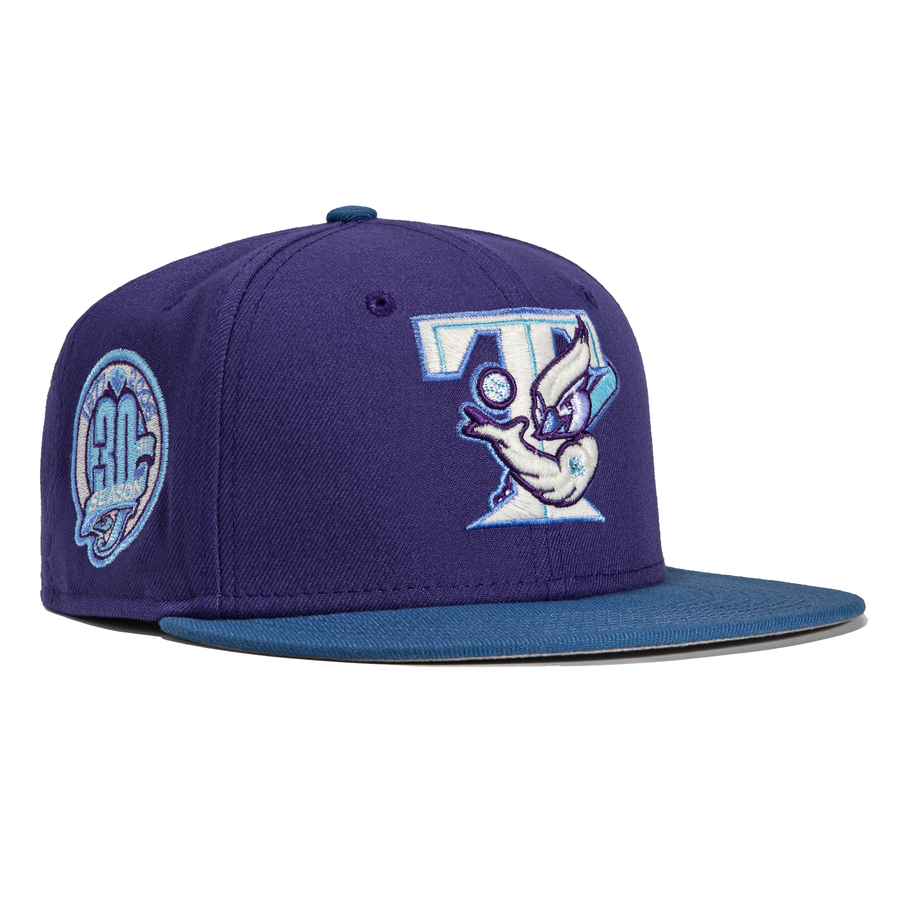 New Era 59FIFTY Northern Lights Toronto Blue Jays 30th Anniversary Patch Hat - Purple, Indigo Purple/Indigo / 7 1/8