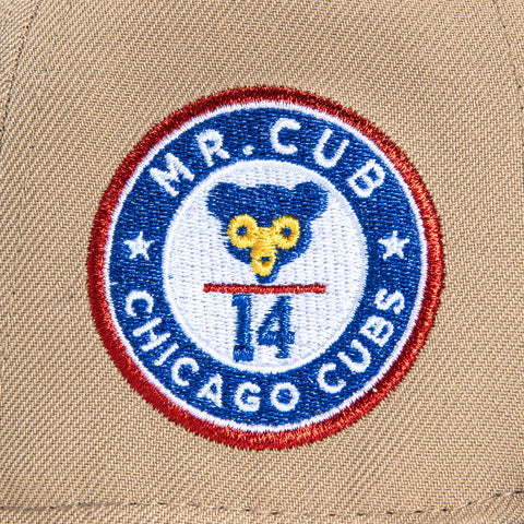 New Era 59Fifty Chicago Cubs Mr. Cub Patch Hat - Tan, Royal